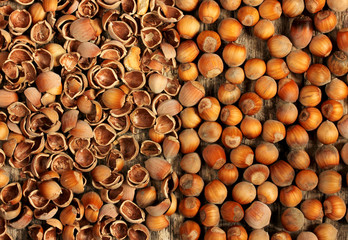 hazelnuts background