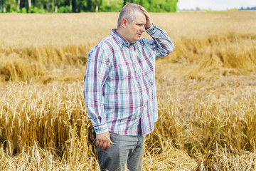 Naklejka na ściany i meble Worried farmer on destroyed cereal field