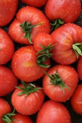 Красные спелые томаты на деревянном фоне