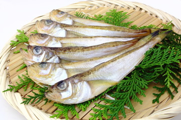 ハタハタ　干物