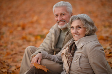 Fototapeta premium Senior couple in autumn park