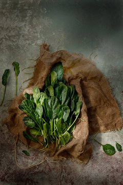 Spinach leaves on cloth