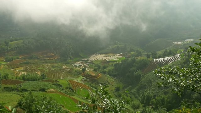 Amazing terraced rice paddies in the mountains of northern Vietnam.
