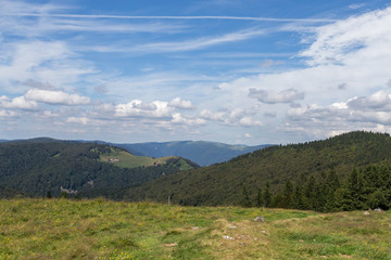 Fototapeta na wymiar l'été sur les sommets des Vosges