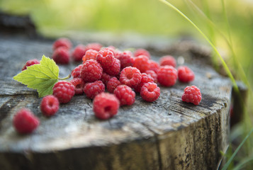 Himbeeren