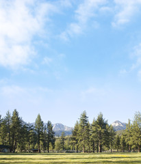 Fototapeta na wymiar Mountains with a blue. Forest background.