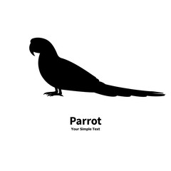 Vector illustration silhouette of a parrot