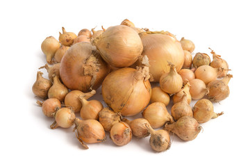 Große Gemüsezwiebeln und Perlzwiebeln