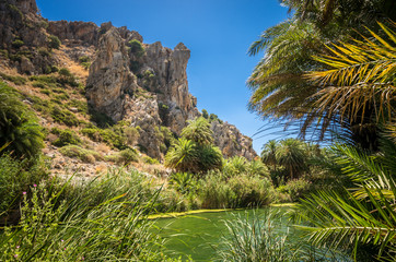 Fototapeta na wymiar Preveli palm forest in Crete island, Greece. This amazing tropical forest is located in the gorge of Kourtaliotis near the beach of Preveli.
