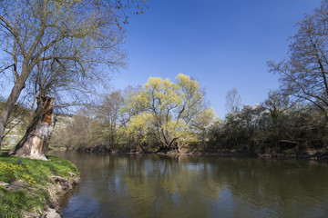 Landschaft und Weinberge bei Freyburg, Burgenlandkreis, Sachsen-Anhalt, Deutschland