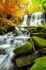 Obraz premium beautiful waterfall in green forest in jungle at phu tub berk mo