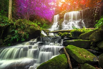 Schilderijen op glas prachtige waterval in groen bos in jungle bij phu tub berk mo © martinhosmat083