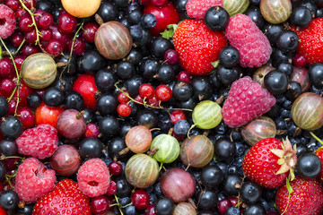 berry background with fresh raspberries, blueberries, currants, strawberries, cherries