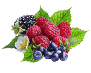Bilberries,  raspberries and blackberries on white  background