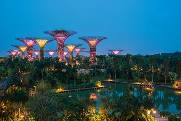 Papier Peint photo Singapour il Supertree à Gardens by the Bay