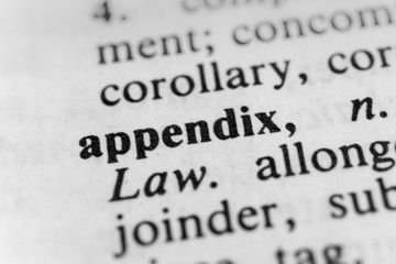 Appendix