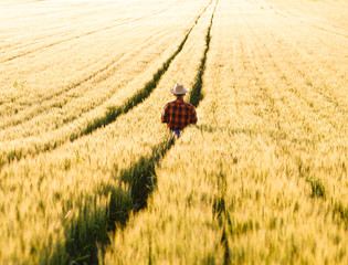 Senior farmer in a field looking into the distance at sunset.