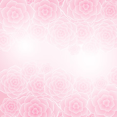 Beautiful pink rose flower background