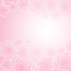 Beautiful pink rose flower background