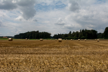 Fototapeta premium Stroh in Strohballen im Sommer
