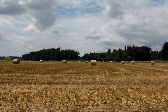 Stroh in Strohballen im Sommer