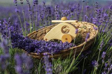 Wooden helicopter in basket with lavender