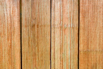 Fototapeta premium Wooden planks texture