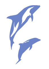 A Pair of Dolphins