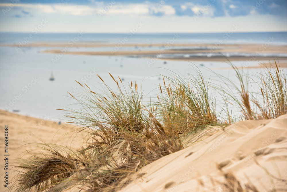 Sticker View of The Arcachon Bay and The Duna of Pyla, France