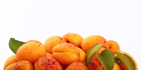 Heap of fresh ripe apricots and leaves over white
