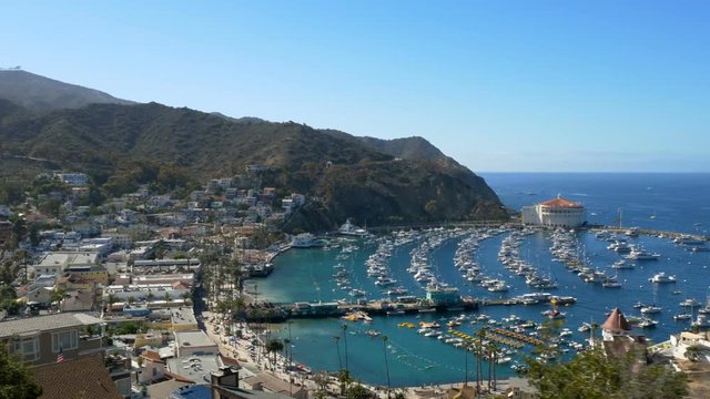 Looking down at the bay and town of Avalon on Catalina Island. Boat fill the harbor.