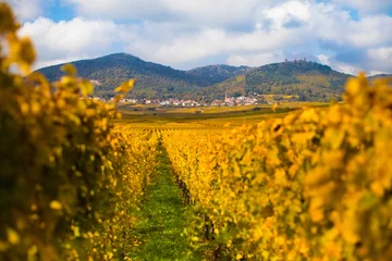 Fototapeten Scenic view of Alsace hills © famveldman