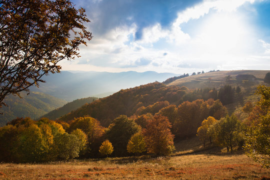 Scenic view of Alsace hills