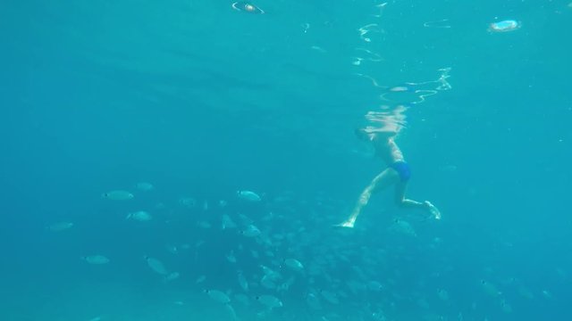 man dives into the sea