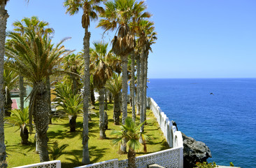 Callao Salvaje coast in Adeje Tenerife