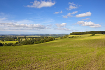 Fototapeta premium hay field in the yorkshire wolds