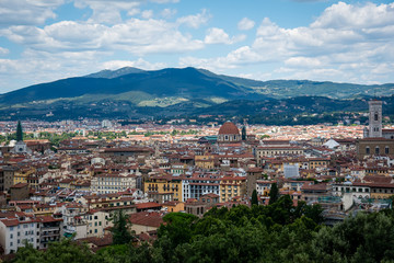 Fototapeta na wymiar Florence city