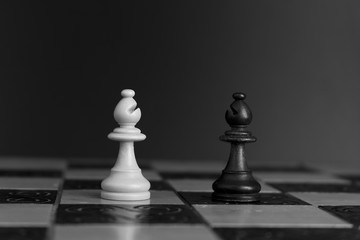 Scacchi fotografati su una scacchiera