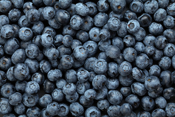 blueberries