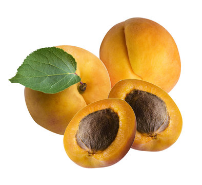 Fresh apricot with leaf on white background.