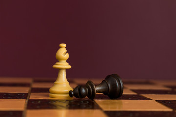 Scacchi fotografati su una scacchiera