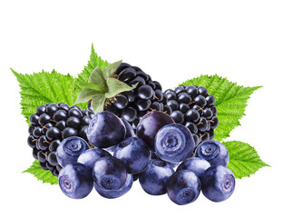 Bilberries and blackberries ,isolated