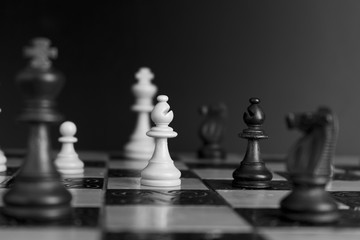 Scacchi fotografati su una scacchiera