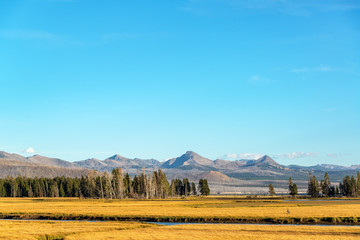 Valley and Mountains in Yellowstone