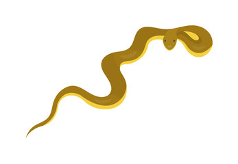 Snake reptile cartoon vector