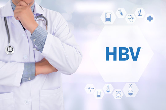 HBV CONCEPT (hepatitis B virus)