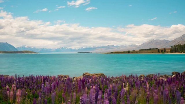 New Zealand Mountain Lake Landscape Time Lapse.