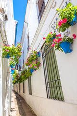 Calleja de las Flores in Barrio de la Juderia, one of the most popular and tourist streets of Cordoba, Andalusia, Spain.