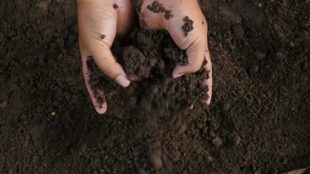Soil, Agriculture, Farmer hands holding and pouring back organic soil top view shot