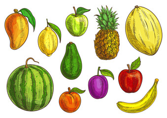 Tropical and exotic fruits set